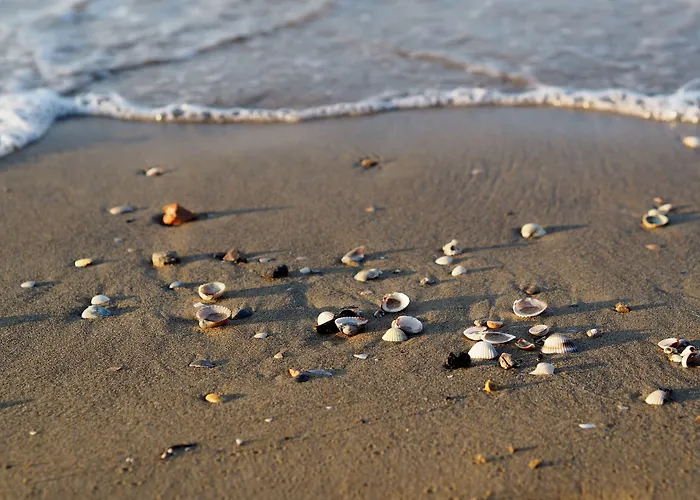 Sea View Flat Few Steps From The Apartment *